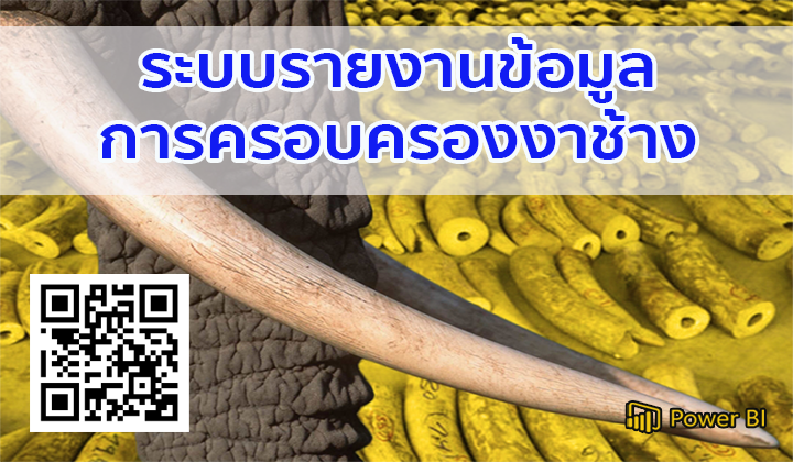 ระบบรายงานข้อมูลการครอบครองงาช้าง